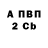 APVP СК Arinochka Darinochka