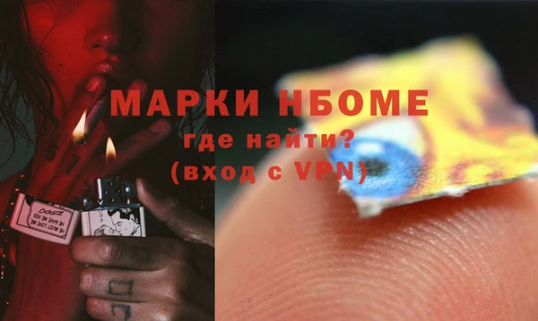 стафф Инта