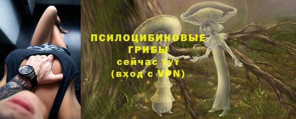 марки nbome Каменка