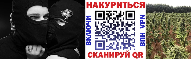 Конопля индика  Нижний Новгород 